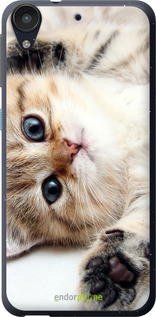 Силіконовий чехол Котик для HTC Desire 530 - 6024u-613 изображение 