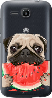 Силіконовий чехол Мопс і кавун для Huawei Ascend Y600 - 4665u-486 изображение 
