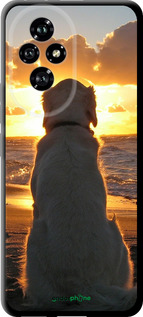 TPU чехол Закат и собака для Huawei Honor 200 - 3966b-3731 изображение 
