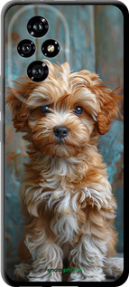 TPU чехол Щенок мальтипу для Huawei Honor 200 - 6157b-3731 изображение 