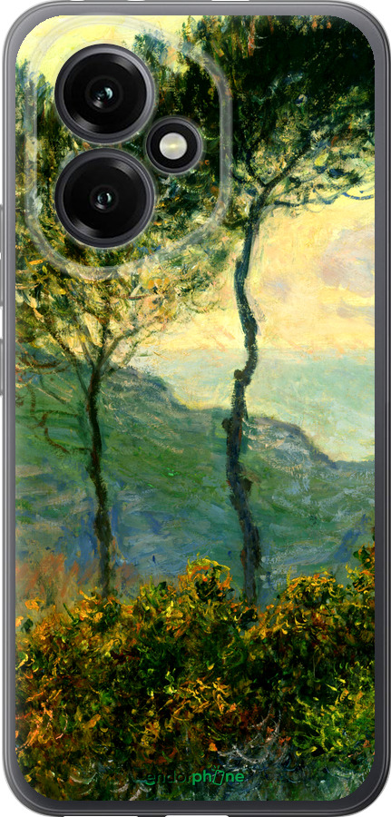 Силиконовый чехол Клод Моне для Huawei Honor 400 5G - 1193u-4017 изображение 