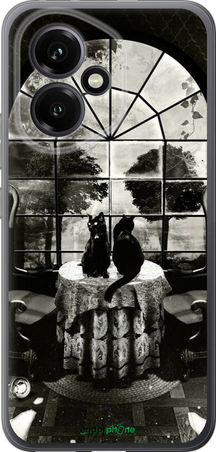 Силиконовый чехол Череп и коты для Huawei Honor 400 5G - 6432u-4017 изображение 