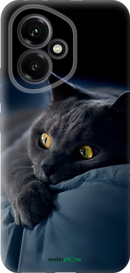 Силіконовий чехол Димчастий кіт для Huawei Honor 400 5G - 825u-4017 изображение 