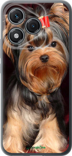 Силиконовый чехол Йоркширский терьер для Huawei Honor 400 Lite 5G - 929u-3993 изображение 
