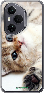 Силиконовый чехол Котик для Huawei Honor 400 PRO 5G - 6024u-4036 изображение 