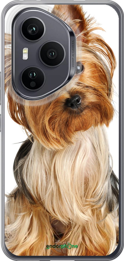 Силиконовый чехол Йоркширский терьер с хвостиком для Huawei Honor 400 PRO 5G - 930u-4036 изображение 