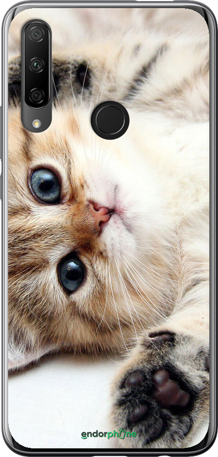 2D пластиковий чехол Котик для Huawei Honor 9X - 6024t-1746 изображение 