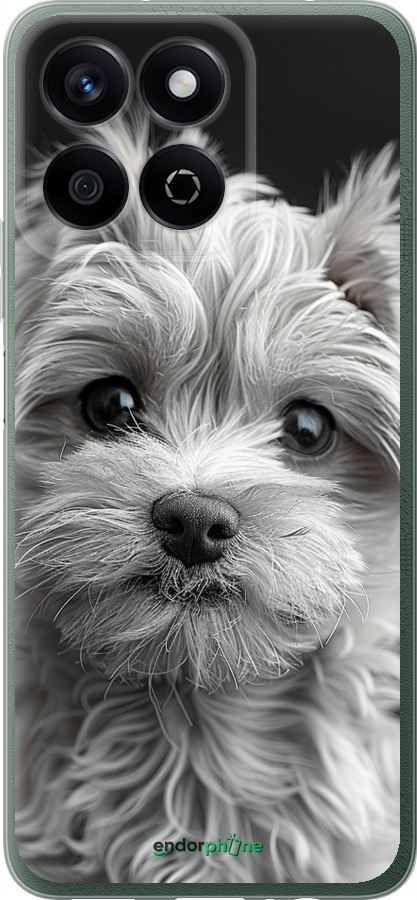 Силиконовый чехол Мальтипу на чорном фоне для Huawei Honor X7c - 6156u-3874 изображение 