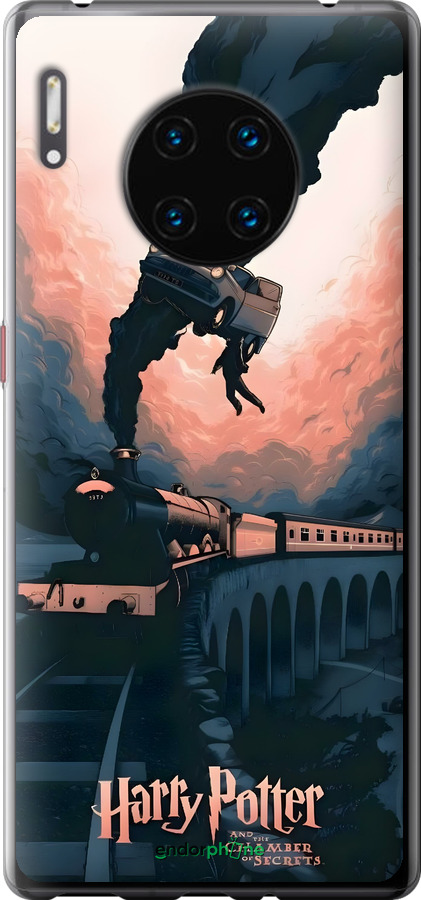 Силиконовый чехол Гарри Поттер для Huawei Mate 30 Pro - 6331u-1796 изображение 