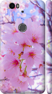 3D пластиковый глянцевый чехол Сакура для Huawei Nexus 6P - 6029c-148 изображение 