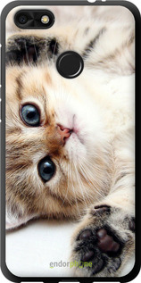 TPU чехол Котик для Huawei Nova Lite 2017 - 6024b-1400 изображение 