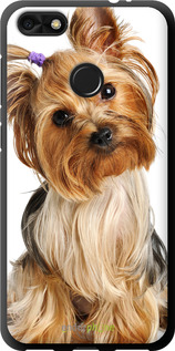TPU чехол Йоркширский терьер с хвостиком для Huawei Nova Lite 2017 - 930b-1400 изображение 