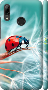 3D пластиковый матовый чехол Божья коровка для Huawei P Smart 2019 - 6049m-1634 изображение 