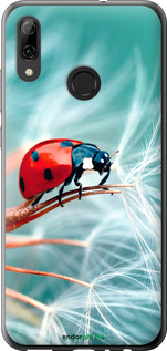 Силиконовый чехол Божья коровка для Huawei P Smart 2019 - 6049u-1634 изображение 