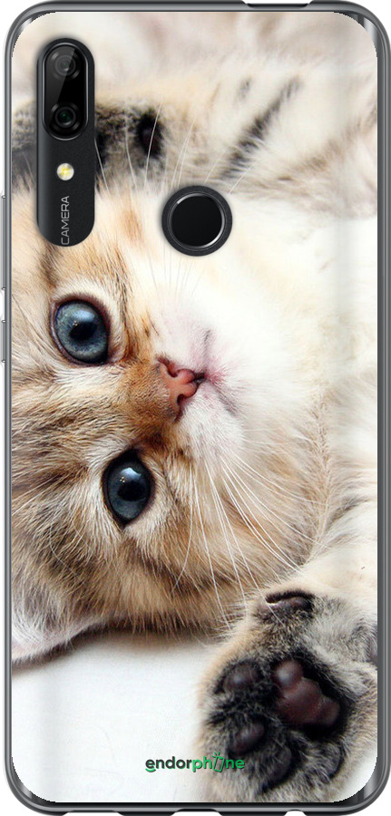 2D пластиковий чехол Котик для Huawei P Smart Z - 6024t-1704 изображение 