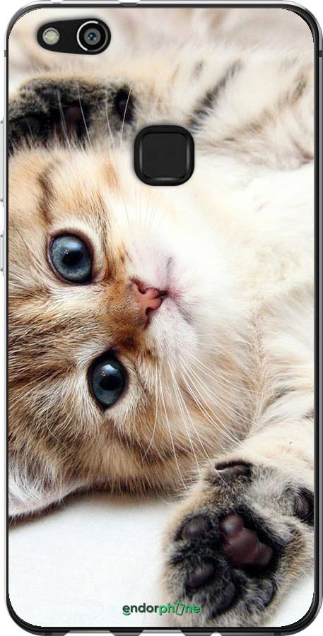 Силіконовий чехол Котик для Huawei P10 Lite - 6024u-896 изображение 