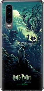 Силиконовый чехол Гарри Поттер 3 для Huawei P30 - 6338u-1622 изображение 