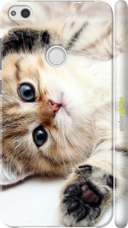 3D пластиковий матовий чехол Котик для Huawei P8 Lite (2017) - 6024m-777 изображение 