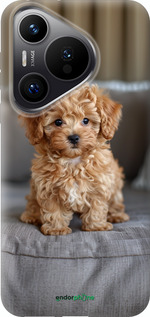 Силиконовый чехол Mini-maltipoo для Huawei Pura 70 PRO - 6158u-3700 изображение 