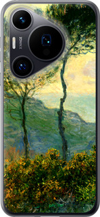 Силиконовый чехол Клод Моне для Huawei Pura 70 - 1193u-3703 изображение 