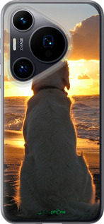Силиконовый чехол Закат и собака для Huawei Pura 70 - 3966u-3703 изображение 