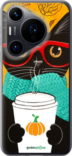 Силиконовый чехол Осенний кот для Huawei Pura 70 - 4026u-3703 изображение 