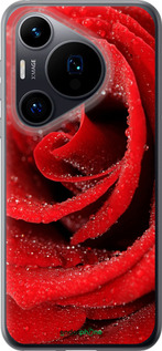 Силиконовый чехол Красная роза для Huawei Pura 70 - 529u-3703 изображение 