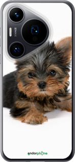 Силиконовый чехол Щенок йоркширского терьера для Huawei Pura 70 - 931u-3703 изображение 