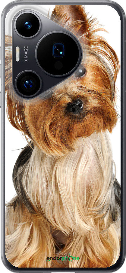 Силиконовый чехол Йоркширский терьер с хвостиком для Huawei Pura 70 - 930u-3703 изображение 