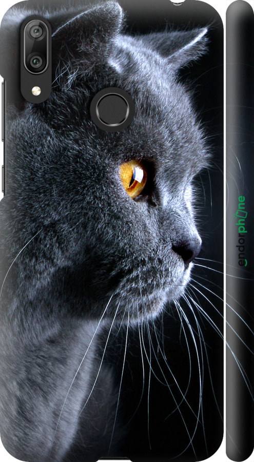 

3D пластиковий матовий чохол "Гарний кіт" для Huawei Y7 2019, Чорний