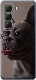 Силиконовый чехол Милый бульдог для Infinix Hot 50 5G - 5546u-3795 изображение 