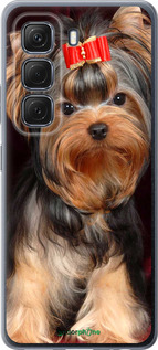 Силиконовый чехол Йоркширский терьер для Infinix Hot 50 5G - 929u-3795 изображение 