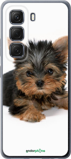 Силиконовый чехол Щенок йоркширского терьера для Infinix Hot 50 5G - 931u-3795 изображение 