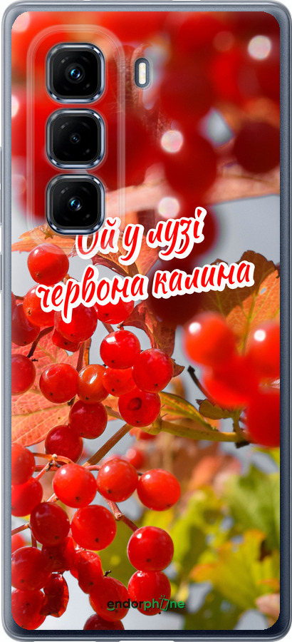Силиконовый чехол Калина для Infinix Hot 50 Pro+ 4G - 5454u-3870 изображение 