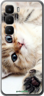 Силиконовый чехол Котик для Infinix Hot 60 Pro+ - 6024u-4125 изображение 