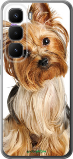 Силиконовый чехол Йоркширский терьер с хвостиком для Infinix Hot 60 Pro+ - 930u-4125 изображение 