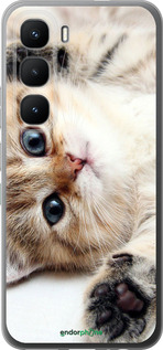 Силиконовый чехол Котик для Infinix Hot 60 Pro - 6024u-4126 изображение 