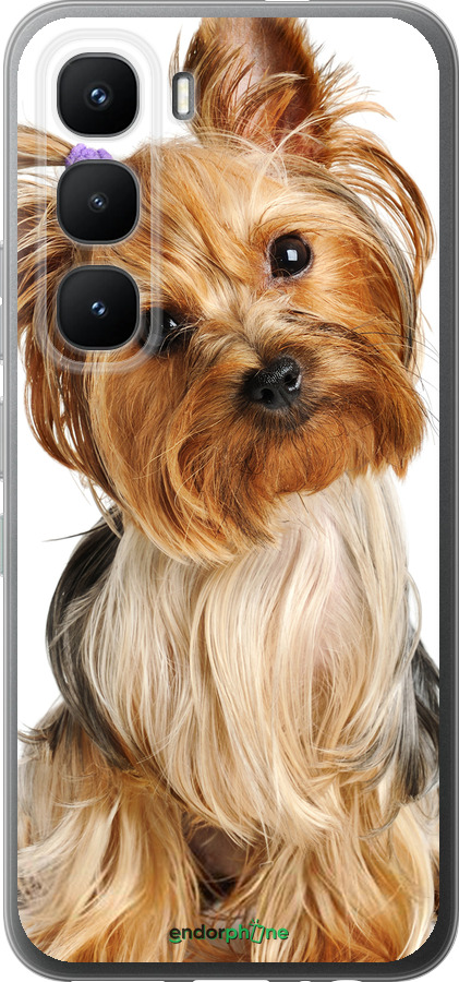 Силиконовый чехол Йоркширский терьер с хвостиком для Infinix Hot 60 Pro - 930u-4126 изображение 