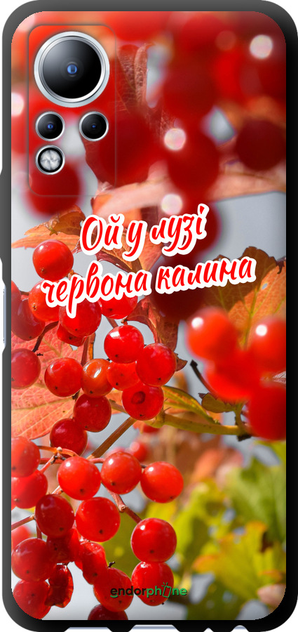 TPU чехол Калина для Infinix Note 12 - 5454b-2927 изображение 