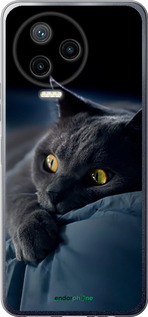 Силиконовый чехол Дымчатый кот для Infinix Note 12 (2023) - 825u-3042 изображение 