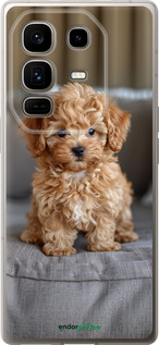 Силиконовый чехол Mini-maltipoo для Infinix Note 50 Pro+ - 6158u-4041 изображение 