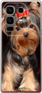 Силиконовый чехол Йоркширский терьер для Infinix Note 50 Pro+ - 929u-4041 изображение 