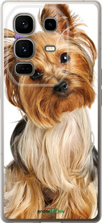 Силиконовый чехол Йоркширский терьер с хвостиком для Infinix Note 50 Pro+ - 930u-4041 изображение 