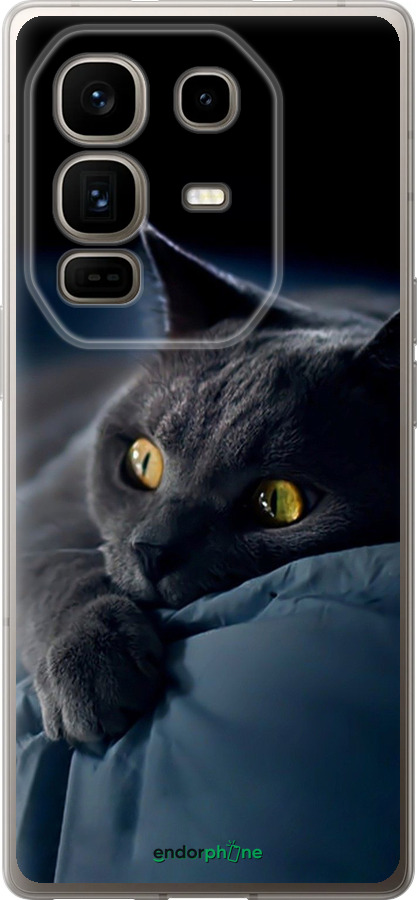 Силіконовий чехол Димчастий кіт для Infinix Note 50 Pro+ - 825u-4041 изображение 