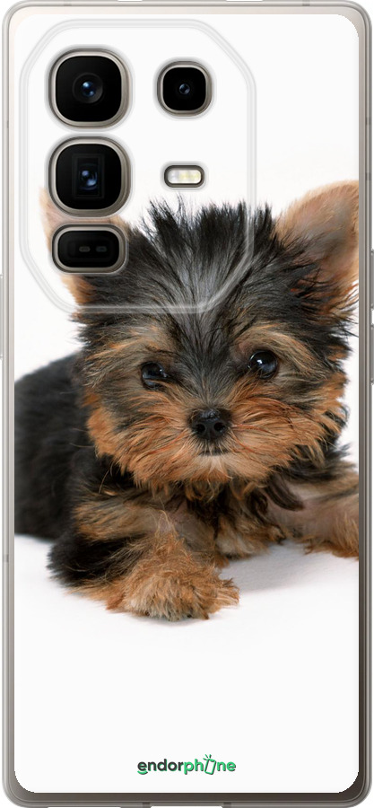 Силиконовый чехол Щенок йоркширского терьера для Infinix Note 50 Pro+ - 931u-4041 изображение 