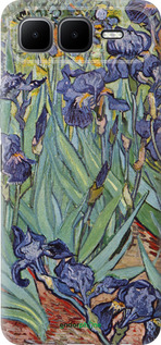 Силиконовый чехол Винсент Ван Гог. Ирисы для Infinix Smart 10 PLus - 161u-4108 изображение 