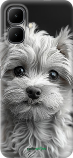 Силиконовый чехол Мальтипу на чорном фоне для Infinix Smart 10 - 6156u-4104 изображение 