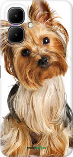 Силиконовый чехол Йоркширский терьер с хвостиком для Infinix Smart 10 - 930u-4104 изображение 