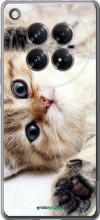 Силиконовый чехол Котик для Infinix Zero 40 5G - 6024u-3822 изображение 