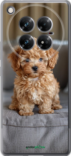 Силиконовый чехол Mini-maltipoo для Infinix Zero 40 5G - 6158u-3822 изображение 